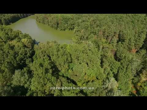 Видео: Шелеховское озеро