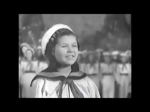 Видео: Коричневая пуговка