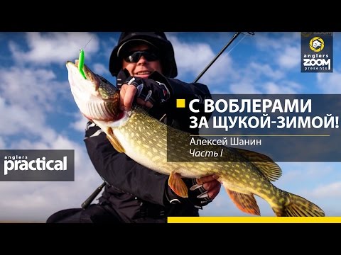 Видео: С воблерами за щукой - зимой! Алексей Шанин. Часть 1. Anglers Practical