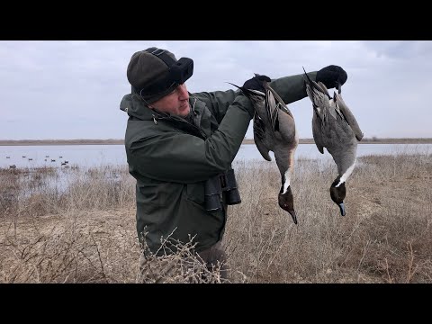 Видео: Открытие весенней охоты в Калмыкии 2024