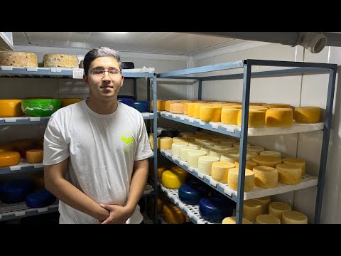 Видео: Как делают Швейцарский Сыр в Узбекистане! Самарканд!