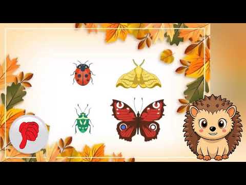 Видео: Дидактичні ігри "Так чи ні?" (Осінні явища)
