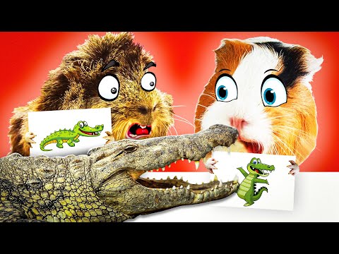 Видео: 🎨 АРТ-ЧЕЛЛЕНДЖ "Волшебные фломастеры" от МОРСКИХ СВИНОК Бузи и Кузи