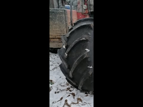 Видео: Лесовоз мтз 4 х4. 2019г.Обзор🚜