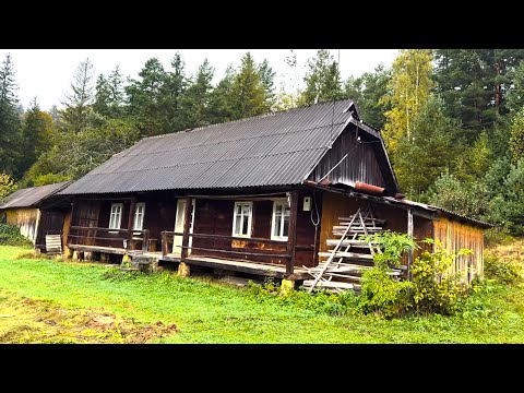 Видео: Назбирали грибів у дощових Карпатах від Буковеля до Яремча