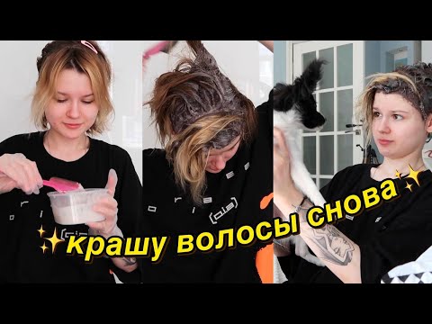 Видео: крашу волосы дома.. (не порчу)