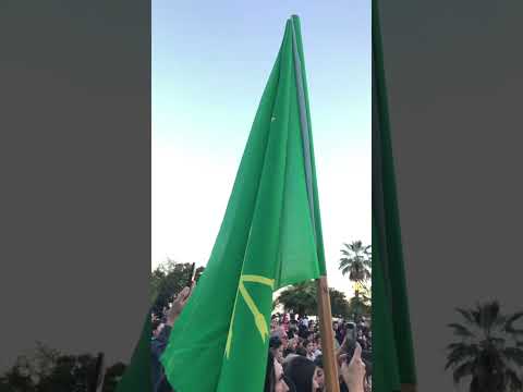 Видео: Адыгская песня. Черкесский язык. День адыгского флага. Circassian flag. Circassian song. Circassia