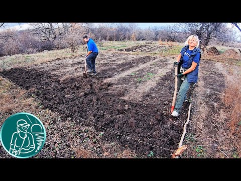 Видео: Перекопка земли без мотоблока 🚜 Когда копать огород 🌱 Обработка глинистой почвы