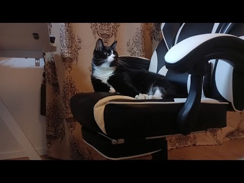 Видео: Кресло игровое ARDOR GAMING Chaos Guard 400M белый