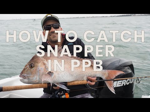 Видео: Как поймать люциана в заливе Порт-Филлип (посмотрите наше новое обновленное видео о люциане — ссы...