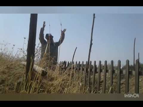 Видео: домулло муҳаммад шариф