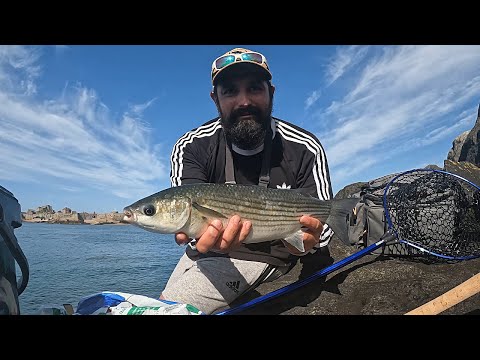 Видео: Ловля кефали на поверхности – Поплавочная ловля кефали – Ловля с пирса – Ловля с берега в Великоб...