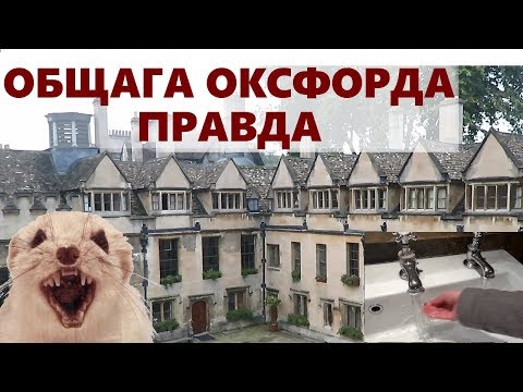 Видео: Ужасы общежития Оксфорда / Вся правда про общагу Оксфордского Университета - Общага Оксфорда