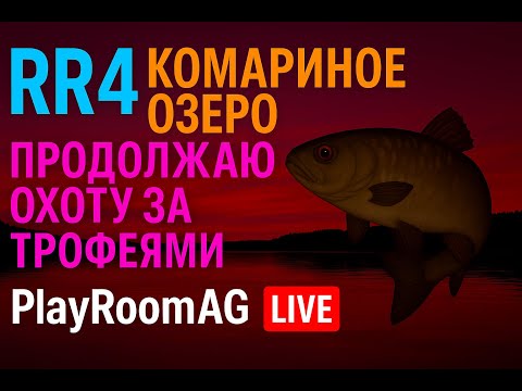 Видео: RR4 — Комариное озеро: продолжаю охоту за трофеями! | PlayRoom AG LIVE