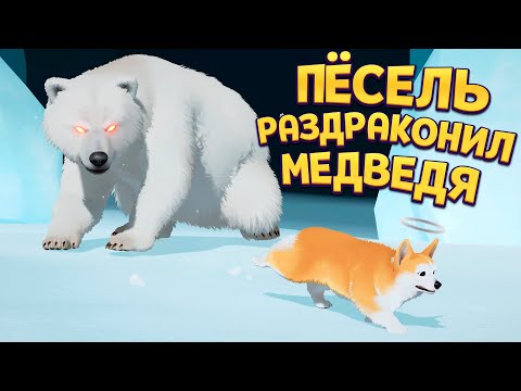 Видео: ПЁС РАЗДРАКОНИЛ МЕДВЕДЯ My Little Puppy