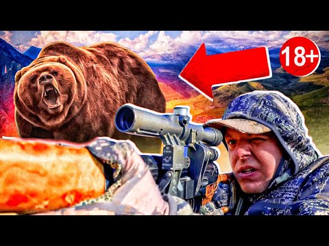 Видео: Напал огромный медведь. Южная Осетия, 10 дней в горах.