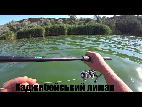 Видео: Де половити пеленгаса на Хаджибейському лимані