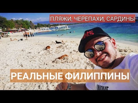 Видео: РЕАЛЬНЫЕ Филиппины (2019). Лучший пляж на Себу (Моалбоал), черепахи, сардины. Sony FDR-X3000