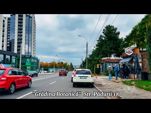 Видео: Кишинев! Маршрут: Ботанический сад-Рышкановка. Любовь к месту где мы живем, делает его прекраснее!