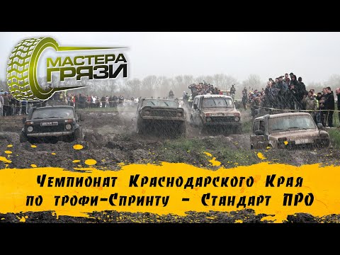 Видео: I этап Чемпионата КК 2024 - Стандарт Про