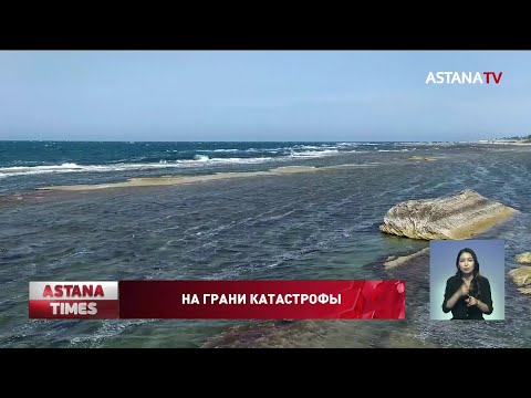 Видео: Каспийскому морю грозит экологическая катастрофа, - экологи