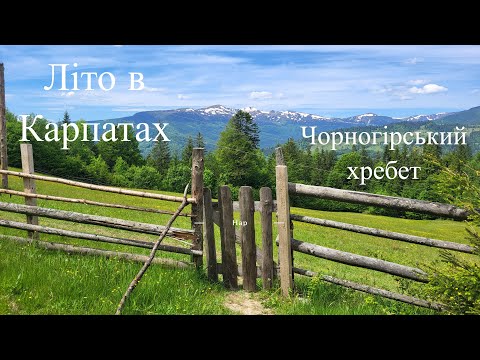 Видео: Похід на Петрос: Червона рута та незабутні квіти Чорногори