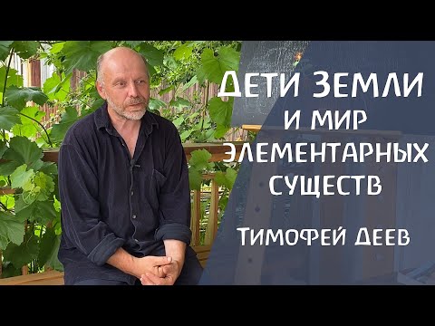 Видео: Невидимый мир элементарных существ: духи земли, воды, воздуха и огня. Тимофей Деев.