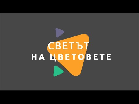 Видео: Светът на цветовете/ Физика 7 клас / EDUAL