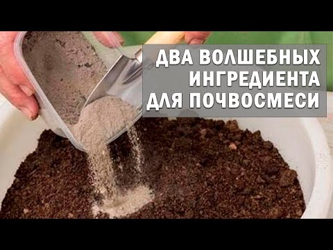 Видео: Два волшебных ингредиента для почвосмеси. Без них крепкой рассады вам не видать.