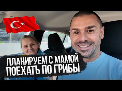 Видео: С мамой за Грибами😹