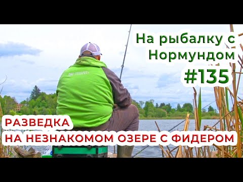 Видео: Разведка на незнакомом озере с фидером / На рыбалку с Нормундом #135