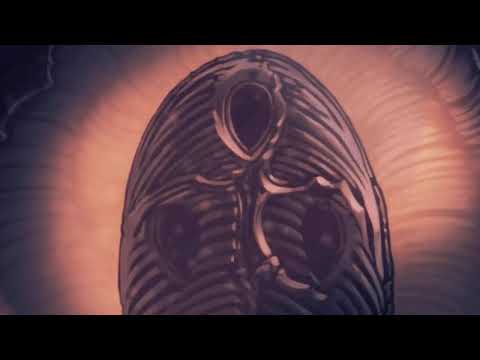Видео: Hollow Knight : Новое начало