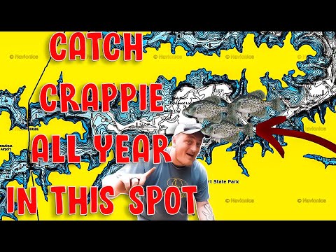 Видео: Найти и поймать ограниченное количество краппи в течение всего года (это так просто)