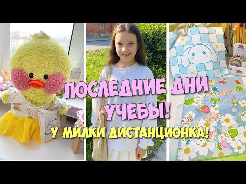 Видео: КАК УТОЧКА МИЛКА УЧИТСЯ?! Последние дни учебы с Милкой! ВЛОГ