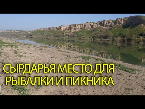 Видео: СЫРДАРЬЯ МЕСТА ДЛЯ РЫБАЛКИ И ПИКНИКА