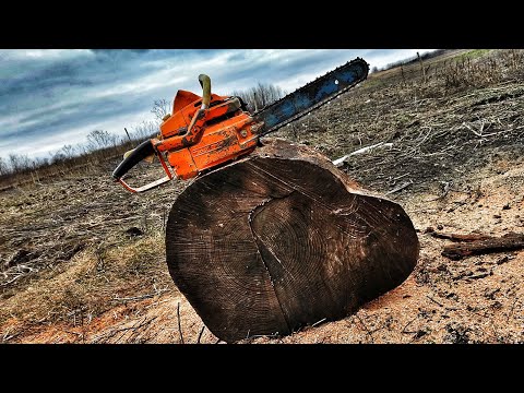 Видео: Бензопила Тайга 214 . Демонстрація.
