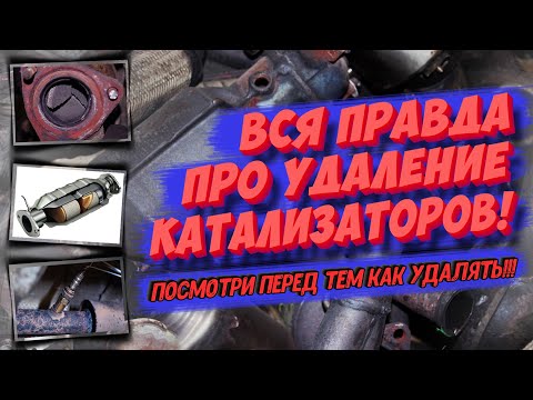 Видео: ВСЯ ПРАВДА ПРО УДАЛЕНИЕ КАТАЛИЗАТОРА! Это должен знать каждый!