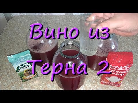 Видео: Вино Из Терна Дикая Слива Простой Рецепт Вина В Домашних Условиях Домашнее Вино 2
