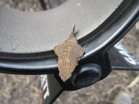 Видео: 96.Открытие сезона, мотокоп с Garrett AT MAX