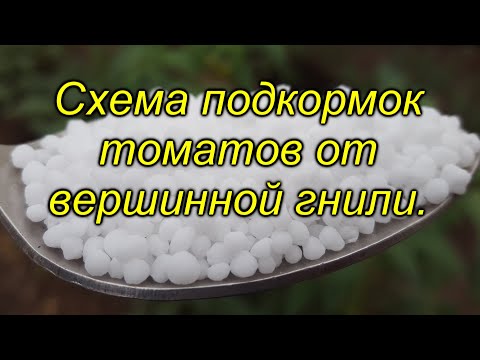 Видео: Кальций для томатов - схема подкормок от вершинной гнили.