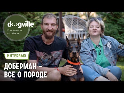 Видео: Доберман – О породе с руководителем питомника и владельцем