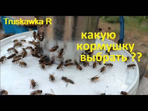 Видео: #Пчёлы. Типы кормушек на пасеке. Какие прижылись, от каких отказались. Что лучше всего.