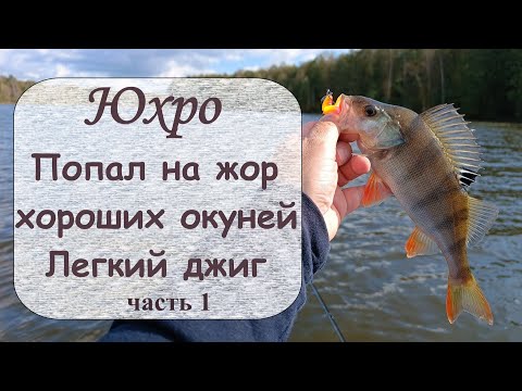 Видео: Юхро. Попал на жор хороших окуней. Часть 1