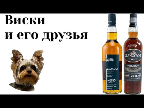 Видео: Кто лучше anCnock 24 или Glengoyne 21