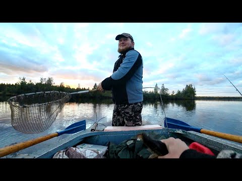 Видео: Рыбалка на Свири | Щука, окунь, Жерех? Ловля в заброс с лодки. Осень 2020.
