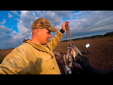 Видео: ОТКРЫТИЕ ОХОТЫ НА ВЯХИРЯ 2025