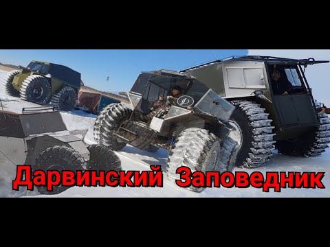 Видео: Дарвинский Заповедник 1ЧАСТЬ