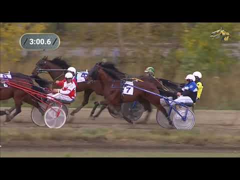 Видео: 18.09.2021 финал БСК 2021г Новосибирск Приз Коневладельцев Сибири