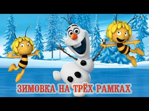 Видео: Зимовка пчёл на трёх рамках (пчёлкам тепло, комфортно, весело) | Wintering of bees on three frames.