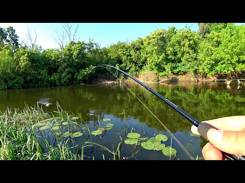 Видео: ВОТ ЭТО КОНЬ ВЛЕТЕЛ, СПИННИНГ В БУБЛИК ОТ НЕГО. Вечерний жор рыбы Рыбалка на спиннинг
